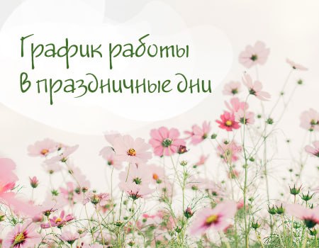График работы в праздничные дни (Симбио Москва) График работы в праздничные дни (Симбио Москва)