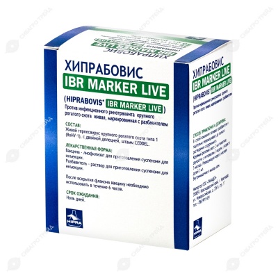 В-на  Хипрабовис IBR Marker Live (25доз/фл+разб) фото В-на  Хипрабовис IBR Marker Live (25доз/фл+разб) фото