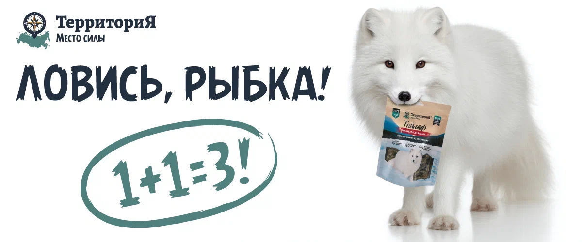 2+1 Акция Территория