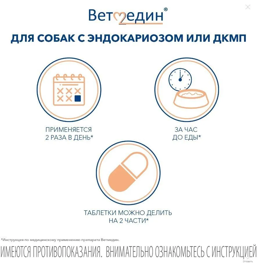 Ветмедин (Merial) S 10мг 50таб (ЛИЦЕНЗИЯ) , купить оптом в Москве, цена,  характеристики, описание - Симбио - ЗооЛэнд