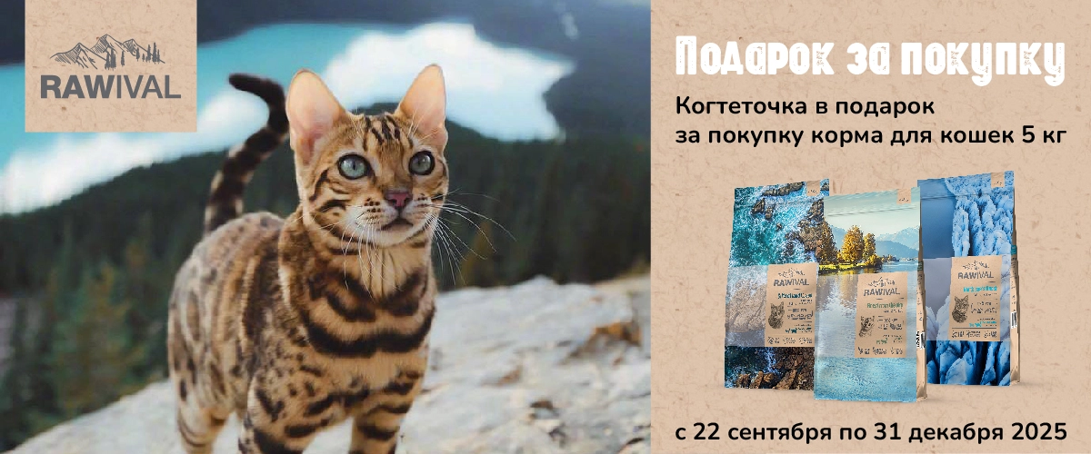 Rawival: когтеточка в подарок при покупке корма 