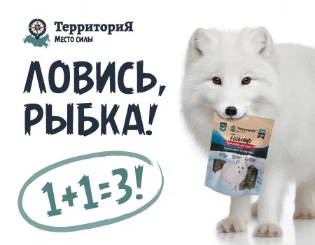 Ловись рыбка. 1+1=3 Ловись рыбка. 1+1=3