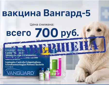 Вангард-5: теперь цена 700р. за дозу!