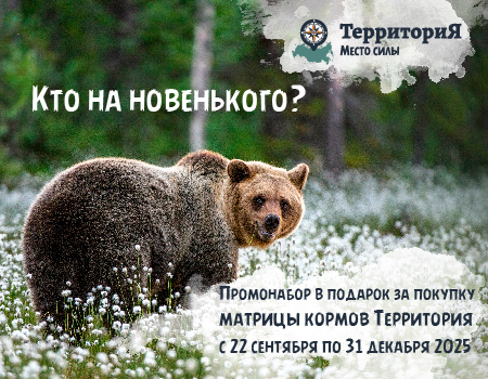 ТерриториЯ: корма в подарок при покупке промо-наборов ТерриториЯ: корма в подарок при покупке промо-наборов