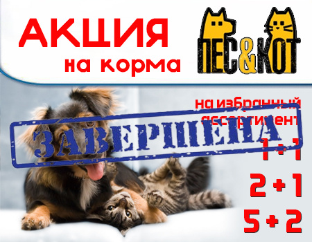Пес&Кот: акция на корма для собак