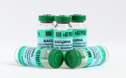 Сибирская язва жидкая Вакцина ИЗ ШТАММА 55-ВНИИВВИМ