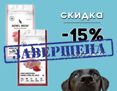 Bowl Wow: -15% на корма для собак 800г и 2кг Bowl Wow: -15% на корма для собак 800г и 2кг