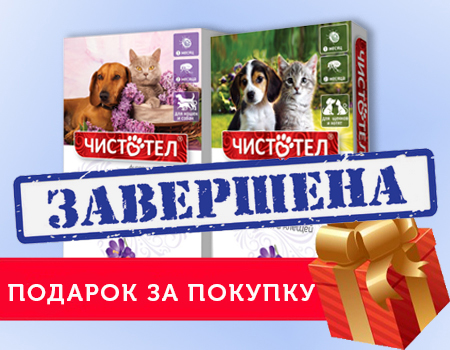 Чистотел Максимум: подарок при покупке от 2000р. Чистотел Максимум: подарок при покупке от 2000р.