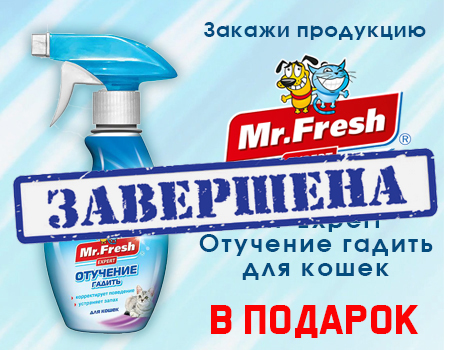 Mr.Fresh Expert: подарок за покупку Mr.Fresh Expert: подарок за покупку