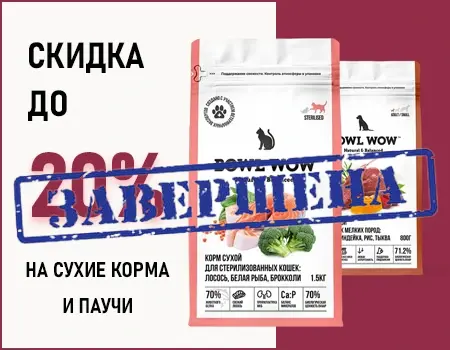 BOWL WOW: скидки до 20%