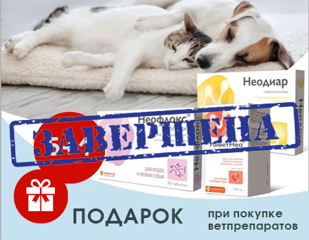 Неодиар для кошек