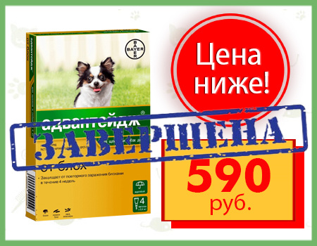 Адвантейдж: цена снижена! Адвантейдж: цена снижена!