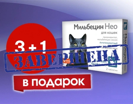 Мильбецин Нео: акция 3 + 1