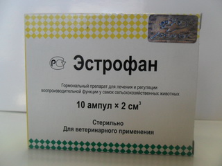 коробка коробка