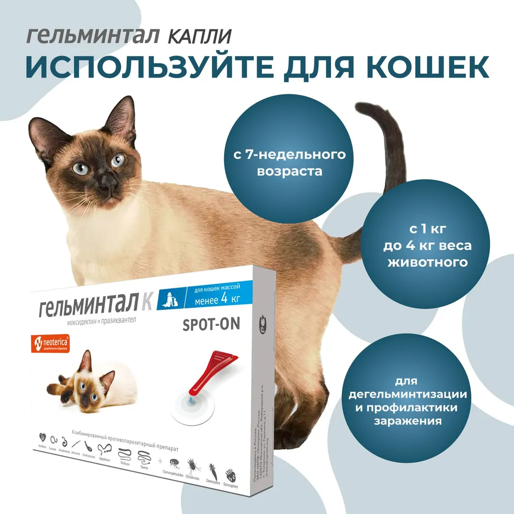 Гельминтал К Spot-on капли (1пип) на холку от блох, клещей и глистов для  кошек и котят до 4кг (ЛИЦЕНЗИЯ), купить оптом в Москве, цена,  характеристики, описание - Симбио - ЗооЛэнд