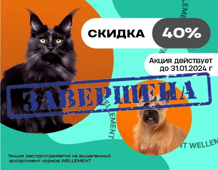 Скидки 40% на корма WELLEMENT для клиентов Симбио Москва Скидки 40% на корма WELLEMENT для клиентов Симбио Москва