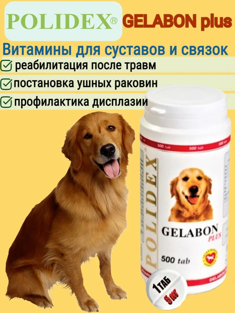 Polidex Gelabon Plus 500шт Витаминно-минеральный комплекс для собак, купить  оптом в Москве, цена, характеристики, описание - Симбио - ЗооЛэнд