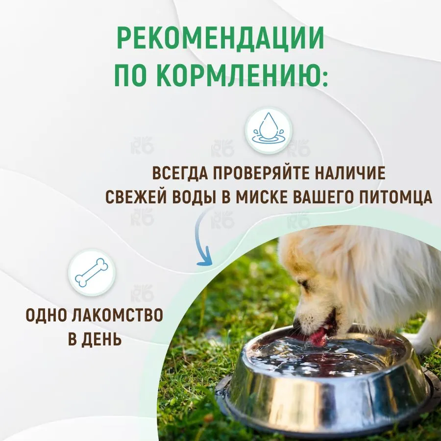 Зубочистики 0,06кг лакомство Кальциевые (7шт) для собак мелких пород  (73303990), купить оптом в Москве, цена, характеристики, описание - Симбио  - ЗооЛэнд
