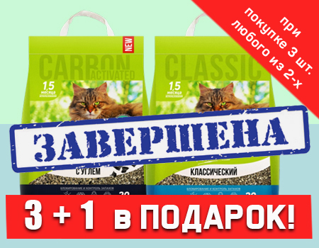 Котяра: акция 3 + 1 в подарок Котяра: акция 3 + 1 в подарок