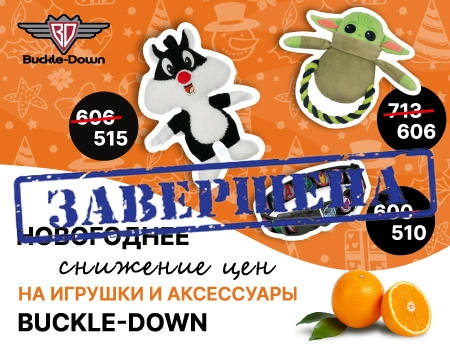 Скидка 15% на продукцию Buckle-Down Скидка 15% на продукцию Buckle-Down