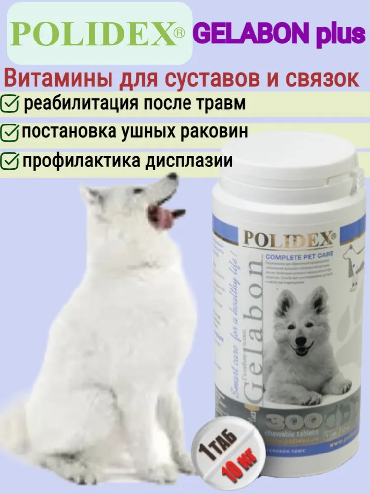 Polidex Gelabon Plus 300таб. витамины для собак, купить оптом в Москве,  цена, характеристики, описание - Симбио - ЗооЛэнд