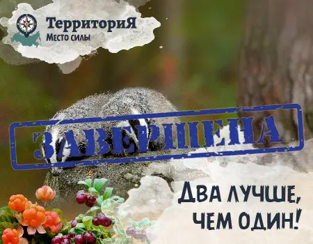 ТерриториЯ Крым: при покупке — корм в подарок! ТерриториЯ Крым: при покупке — корм в подарок!