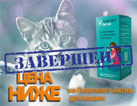 Гепатовет Актив: скидка 25%