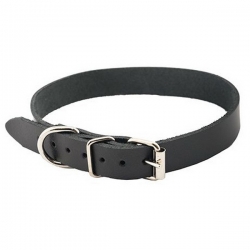 Ошейник (PerseiLine) БИОТАН 25" 31-47 см серый L