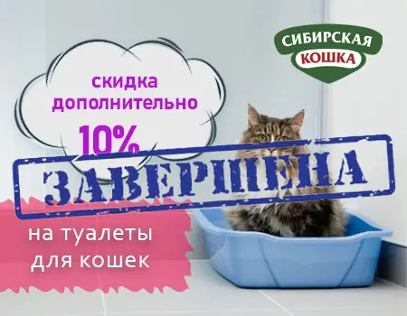 Сибирская кошка: -10% дополнительная скидка на туалеты Сибирская кошка: -10% дополнительная скидка на туалеты