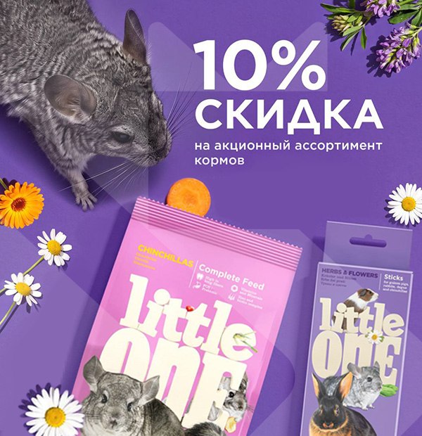 Скидка 10% на Little One