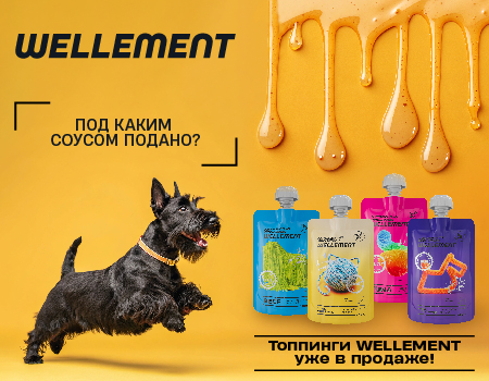 Топпинги от Wellement (Для клиентов Симбио Москва) Топпинги от Wellement (Для клиентов Симбио Москва)