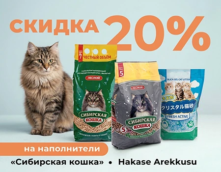 Сибирская кошка и Hakase Arekkusu: скидка 20%