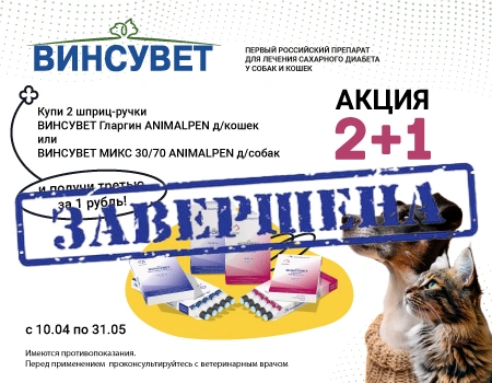 Винсувет: акция 2 + 1 Винсувет: акция 2 + 1