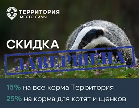 ТерриториЯ: скидки 15% и 25%