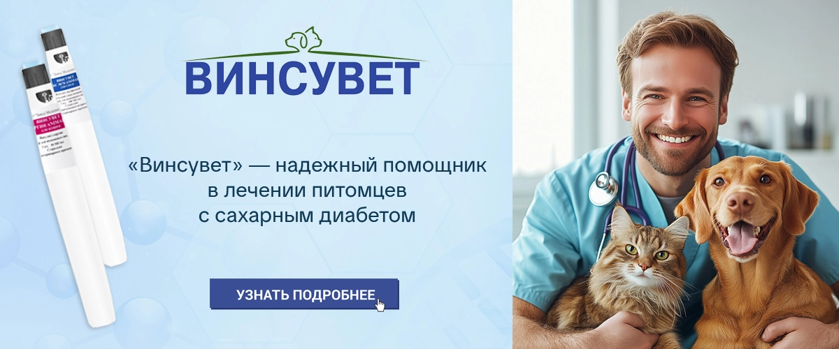 Винсувет - первый отечественный препарат для лечения сахарного диабета у кошек и собак
