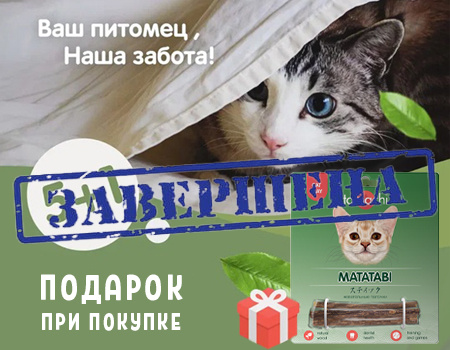 Tamachi: акция 5+1 (ИЮЛЬ - АВГУСТ) Tamachi: акция 5+1 (ИЮЛЬ - АВГУСТ)