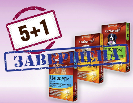 CitoDerm: акция 5 + 1 в подарок CitoDerm: акция 5 + 1 в подарок