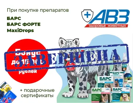 АВЗ: бонусы и подарки за закупку БАРС и MaxiDrops