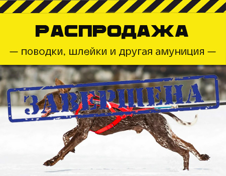 Распродажа: скидки на амуницию