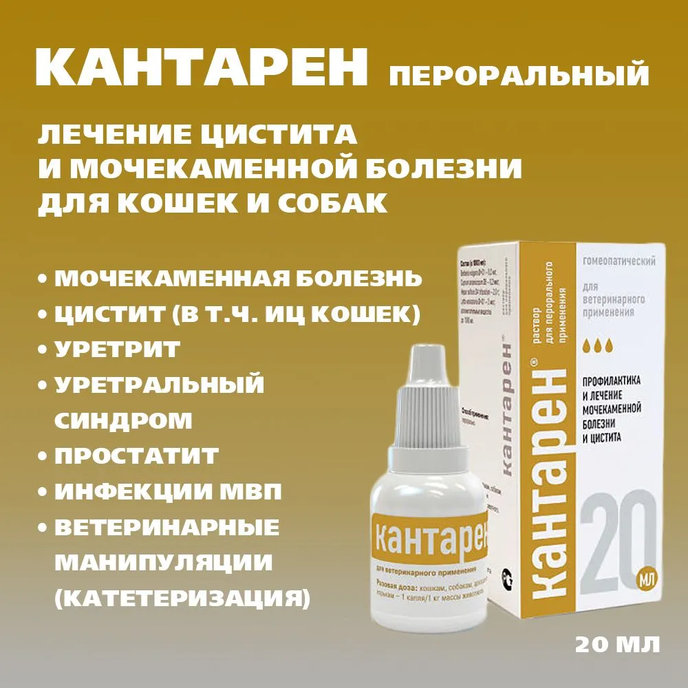 Кантарен для собак. Кантарен для кошек. Кантарен капли. Кантарен, 20 мл. Кантарен капли для кошек.