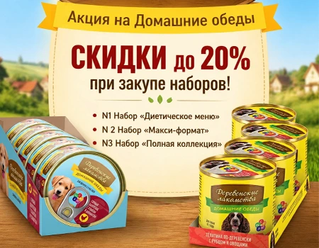 Домашние обеды: скидки до 20%