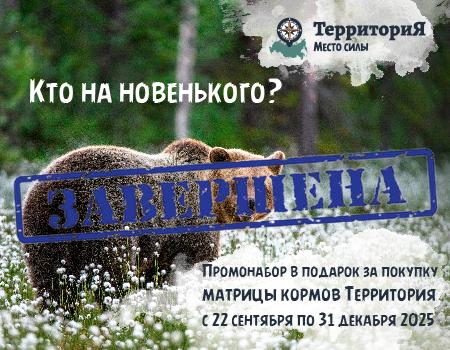 ТерриториЯ: Промо-набор А ТерриториЯ: Промо-набор А