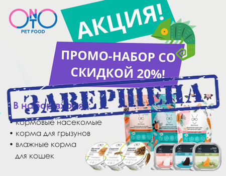 ONTO: скидка 20% на промо-набор ONTO: скидка 20% на промо-набор
