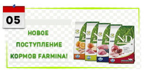 Farmina: новое поступление 05.03.22 Farmina: новое поступление 05.03.22
