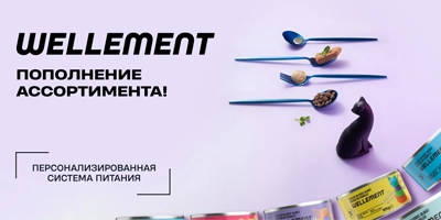 Поступление новинок Wellement Поступление новинок Wellement