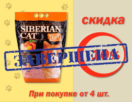 Сибирская кошка: 10% скидка на наполнители Сибирская кошка: 10% скидка на наполнители