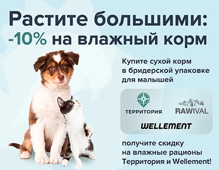 Скидка 10% на влажные корма Территория и Wellement