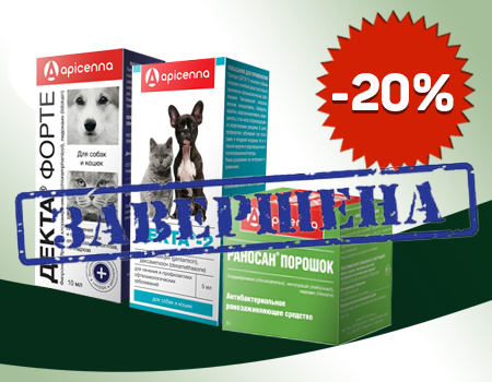 Апиценна: дополнительная скидка 20% на Декта-2, Декта-Форте, Раносан Апиценна: дополнительная скидка 20% на Декта-2, Декта-Форте, Раносан