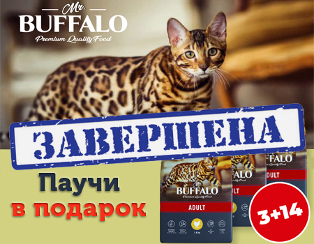 BUFFALO: акция 3 + 14 BUFFALO: акция 3 + 14