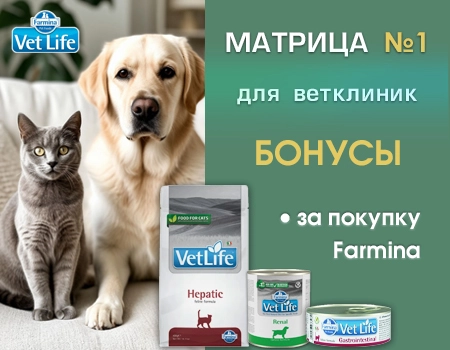 Матрица №1. Бонусы для ветеринарных клиник за покупку Farmina Vet Life